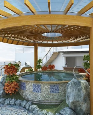 Immagine Diamond Princess 10