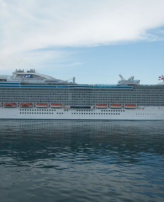Immagine Regal Princess 10