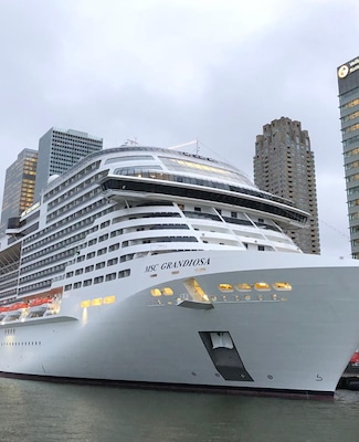 Immagine MSC Grandiosa 10