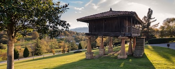 Oviedo