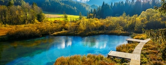 Kranjska Gora