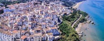 Rodi