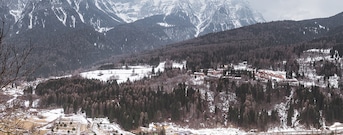 Dimaro