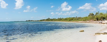Costa Maya