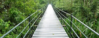 Monteverde