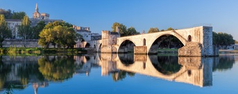 Avignone