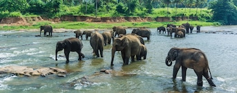 Sri Lanka