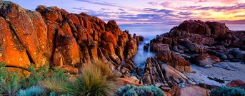 Tasmania