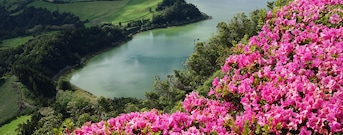 Isola di São Miguel