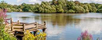 Essex