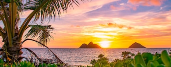 Oahu