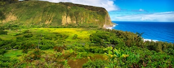 Big Hawaii