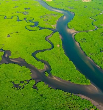 Río Amazonas (Brazil)