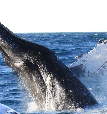 Puerto Madryn