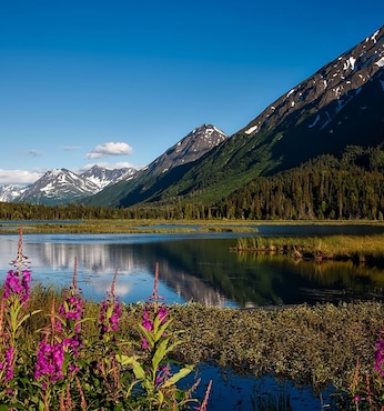 Valdez (Alaska)