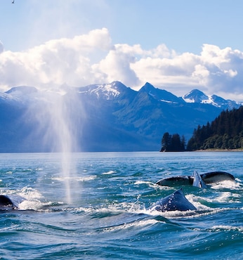 Juneau