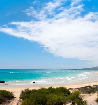 Bahía Urvina (Isla Isabela, Galápagos)