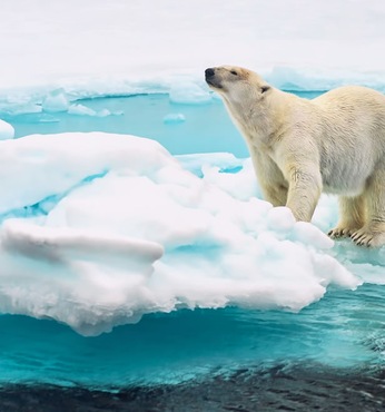 Svalbard (Noruega) Navegación