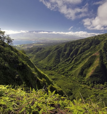 Kahului, Maui