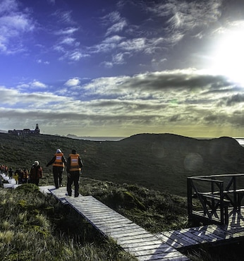 Cabo de Hornos (navegación)