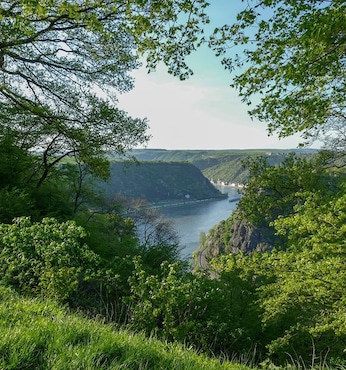 Middle Rhine Valley (Garganta del Rin)