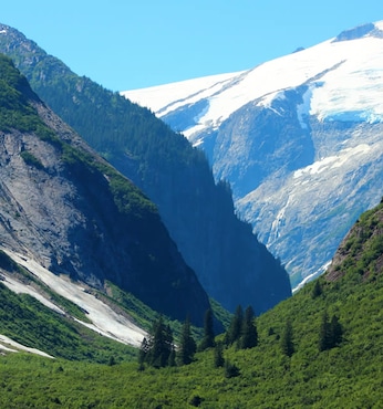 Fiordo Tracy Arm