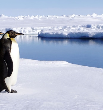 Schollart channel (Antarctica)
