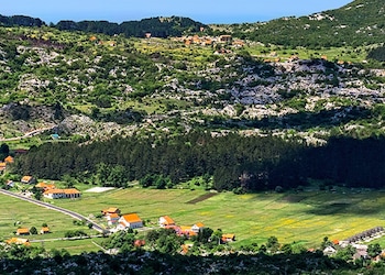 Njeguši