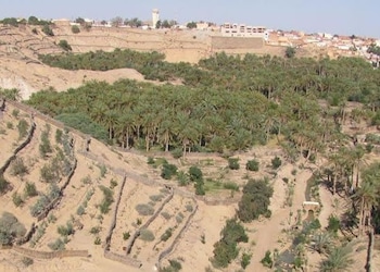 Naftah