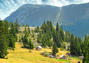 Mokra Gora