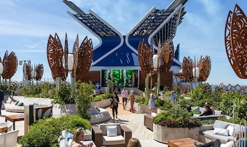 Rooftop Garden
