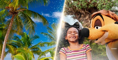 Walt Disney World Orlando e Punta Cana
