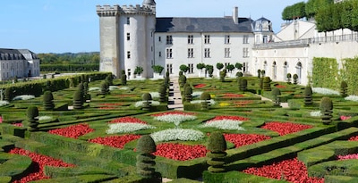 Percorso attraverso i Castelli Reali della Valle della Loira II
