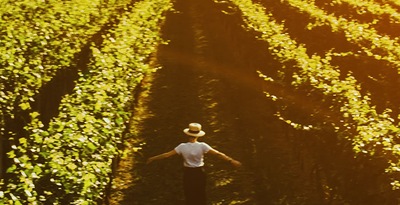 Percorso tra vigneti e modernismo in Catalogna