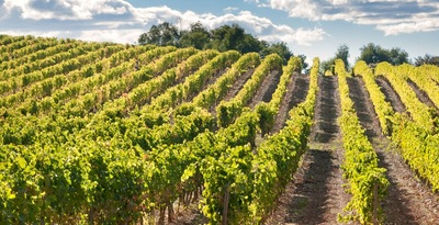 Grande percorso tra vigneti e modernismo in Catalogna