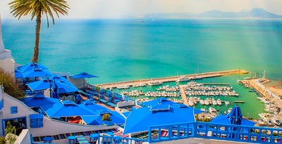 La Tunisia con il deserto, Djerba e Sidi Bou Said