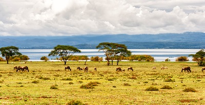 Aberdare, Nakuru, Masai Mara, Naivasha e Mauricio