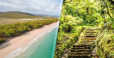 Dominica e Martinica