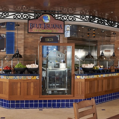Immagine Carnival Liberty 5