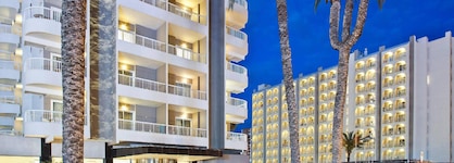 Sol Pelícanos Ocas