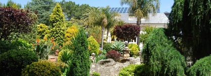 Hotel Spa Bosque-Mar