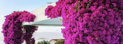 Augusta Eco Wellness Resort