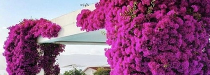 Augusta Eco Wellness Resort