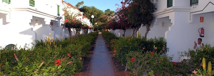 Bungalows Vistaflor