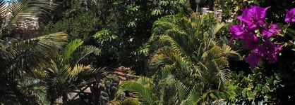Hotel Parque Tropical