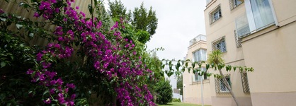 Apartaments Els Llorers