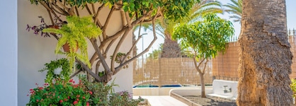 Apartamentos Isla De Lobos