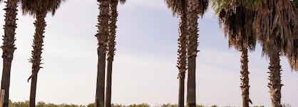 Vila Gale Isla Canela