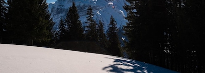 H+ Hotel & Spa Engelberg