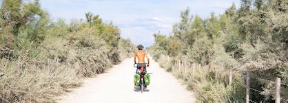 Hôtel Arles Plaza